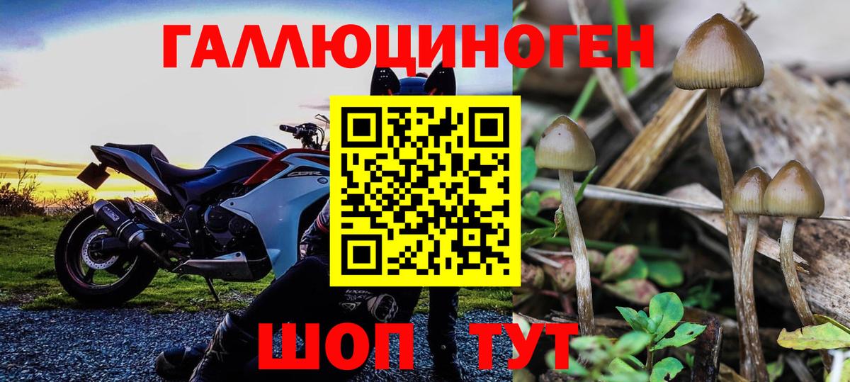 Белорецк  Галлюциногенные грибы GOLDEN TEACHER  Галлюциногенные грибы MAGIC MUSHROOMS  Вход с VPN 